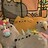 bitKitty