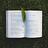 study-hary-id