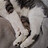 Burrito_S