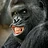 GorillaGamer