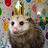 Ray_Coolsen