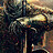 TheLoneOwl