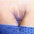 Kip_Kinkle