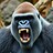 VanillaGorilla