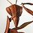 Mantiss