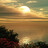 John_Michael_Pagli_J