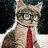 Neil_Stierhoff