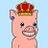 mrpigbrain
