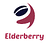 elderberrytech