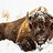 BonsaiBuffalo BonsaiBuffalo
