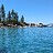 Tahoe_Tree_Guardian