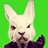 LORD_ODIN