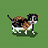 minvedacat