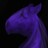 PurebredFriesian