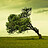 Ridgewell_Hawkes