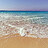 Rania_Saleh