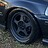 Fern_K24