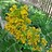goTennaUser_5100