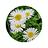 Daisy1