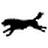 nixer