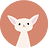 adamskrz