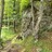 Andrew_Malcolmson