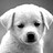 Billy_Zhao