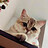 bluekoala9