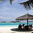 Seema_Attar