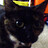 Stuart_Newberry