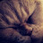 dima150204