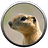 EugeneLVB