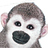 Todd_Pfaff
