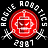 Rogue_Robotics_2987