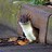 StoatPower