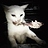 Felis_Domesticus