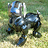 Andy_Ted_Tedford