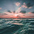 arash_pake