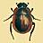 BugCatcher