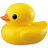 johnwisdom