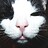 Matthew_Eva