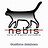 NEBIS