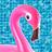 PoolFlamingo