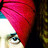 Satinderbajwa7