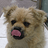 Singhi_John Singhi_John