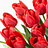 swathi_madineni swathi_madineni