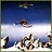 yesbird