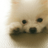 Yomi