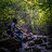 Zain_Ali