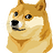 DOGE